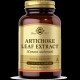 Artichoke Leaf Extract Artichoke Leaf Extract - Diğer Takviyeler