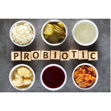 Probiotikler